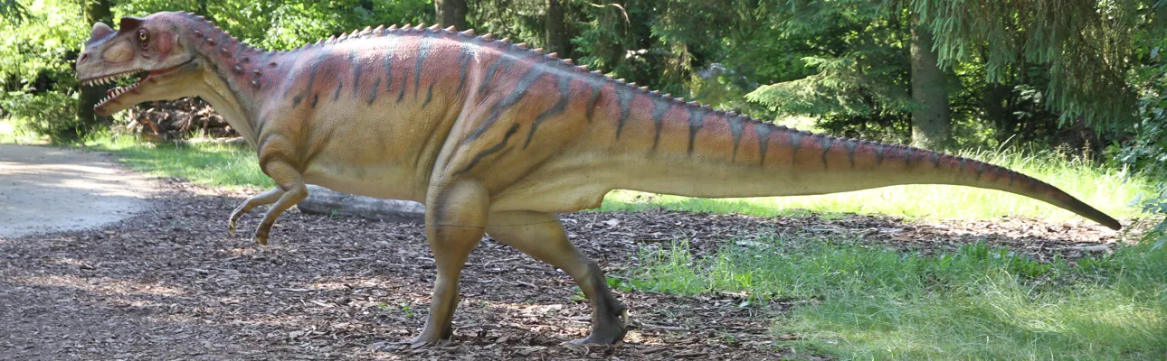 Ceratosaurus im GIVSKUD ZOO