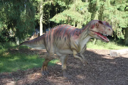 See the Ceratosaurus and other dinosaurs at GIVSKUD ZOO.