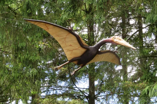 Siehe Pterodactylus und viele andere Dinosaurier im GIVSKUD ZOO.