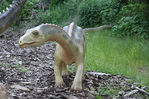 Siehe Diplodocus und viele andere Dinosaurier im GIVSKUD ZOO.