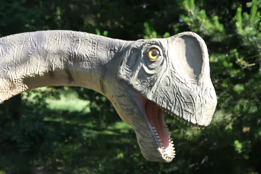 Siehe Europasaurus und viele andere Dinosaurier im GIVSKUD ZOO.