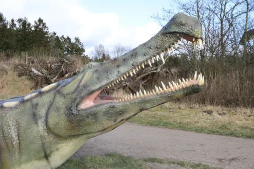 Siehe Sarcosuchus und viele andere Dinosaurier im GIVSKUD ZOO.