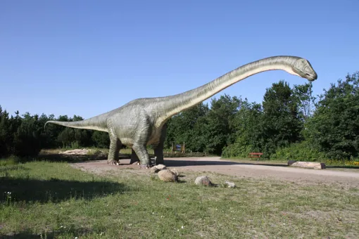 Siehe Argentinosaurus und viele andere Dinosaurier im GIVSKUD ZOO.