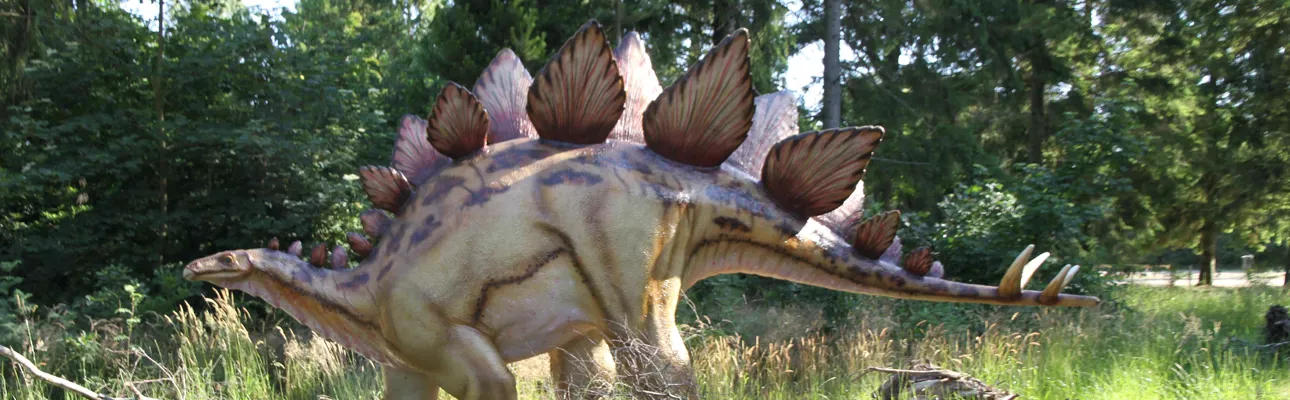 See the Stegosaurus and other dinosaurs at GIVSKUD ZOO.