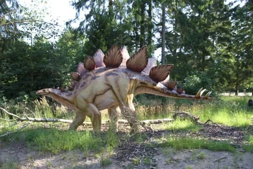 Siehe Stegosaurus und viele andere Dinosaurier im GIVSKUD ZOO.