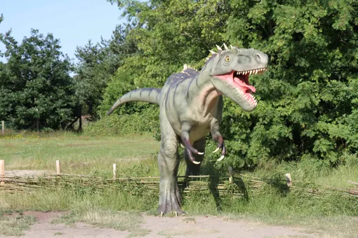 See the Albertosaurus and many other dinosaurs at GIVSKUD ZOO.