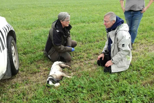 Dyrlæge Ditte-Mari Sandgreen taler med hundeejer Jean-Paul, efter hunden blev bedøvet.
