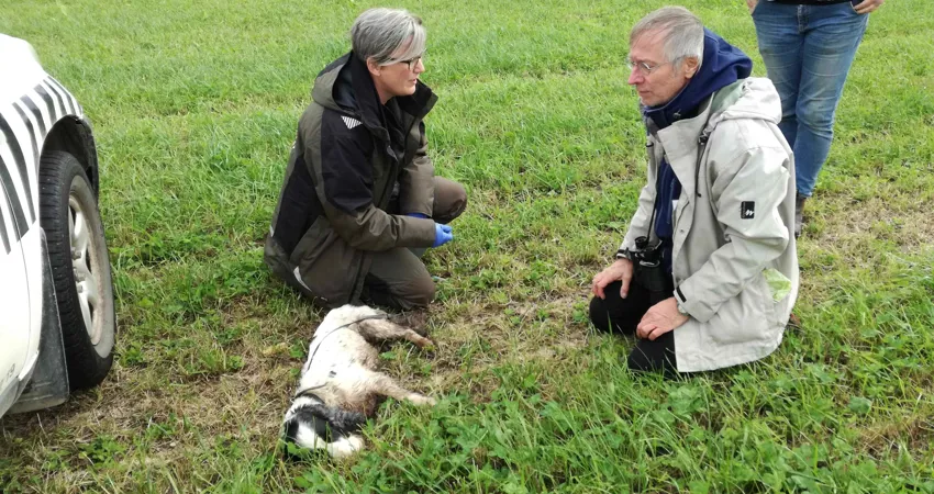 Dyrlæge Ditte-Mari Sandgreen taler med hundeejer Jean-Paul, efter hunden blev bedøvet.