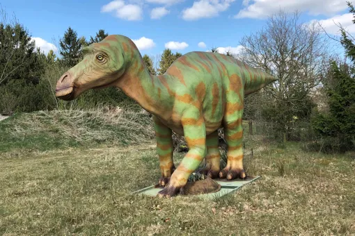 Maiasaura at GIVSKUD ZOO