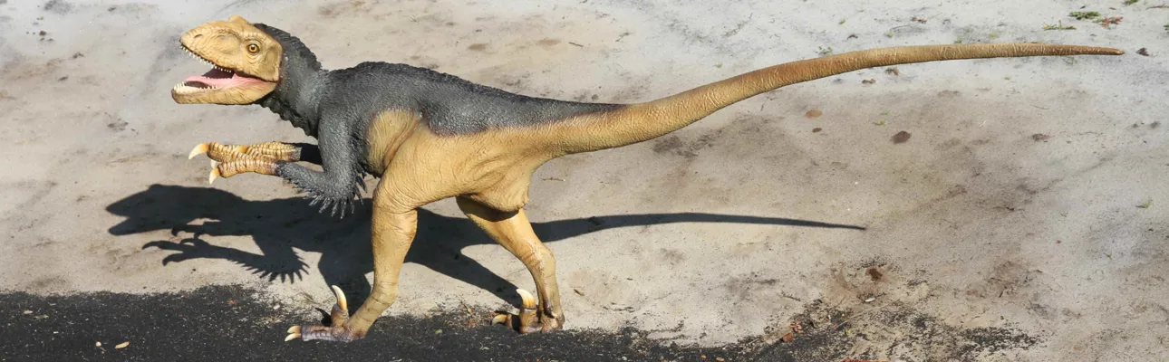 Siehe Deinonychus und viele andere Dinosaurier im GIVSKUD ZOO.