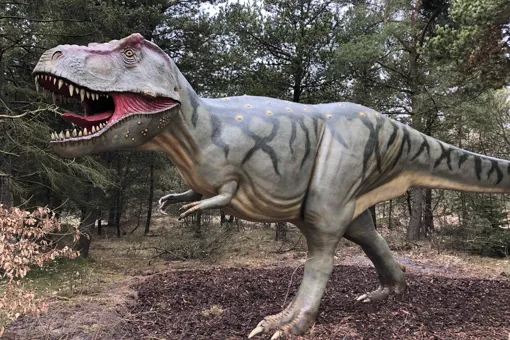 See the impressive Tyrannosaurus rex and many other dinosaurs at GIVSKUD ZOO.