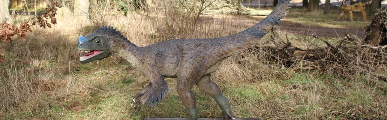 Siehe Ornitholestes und viele andere Dinosaurier im GIVSKUD ZOO.