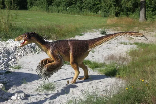 Siehe Troodon und viele andere Dinosaurier im GIVSKUD ZOO.