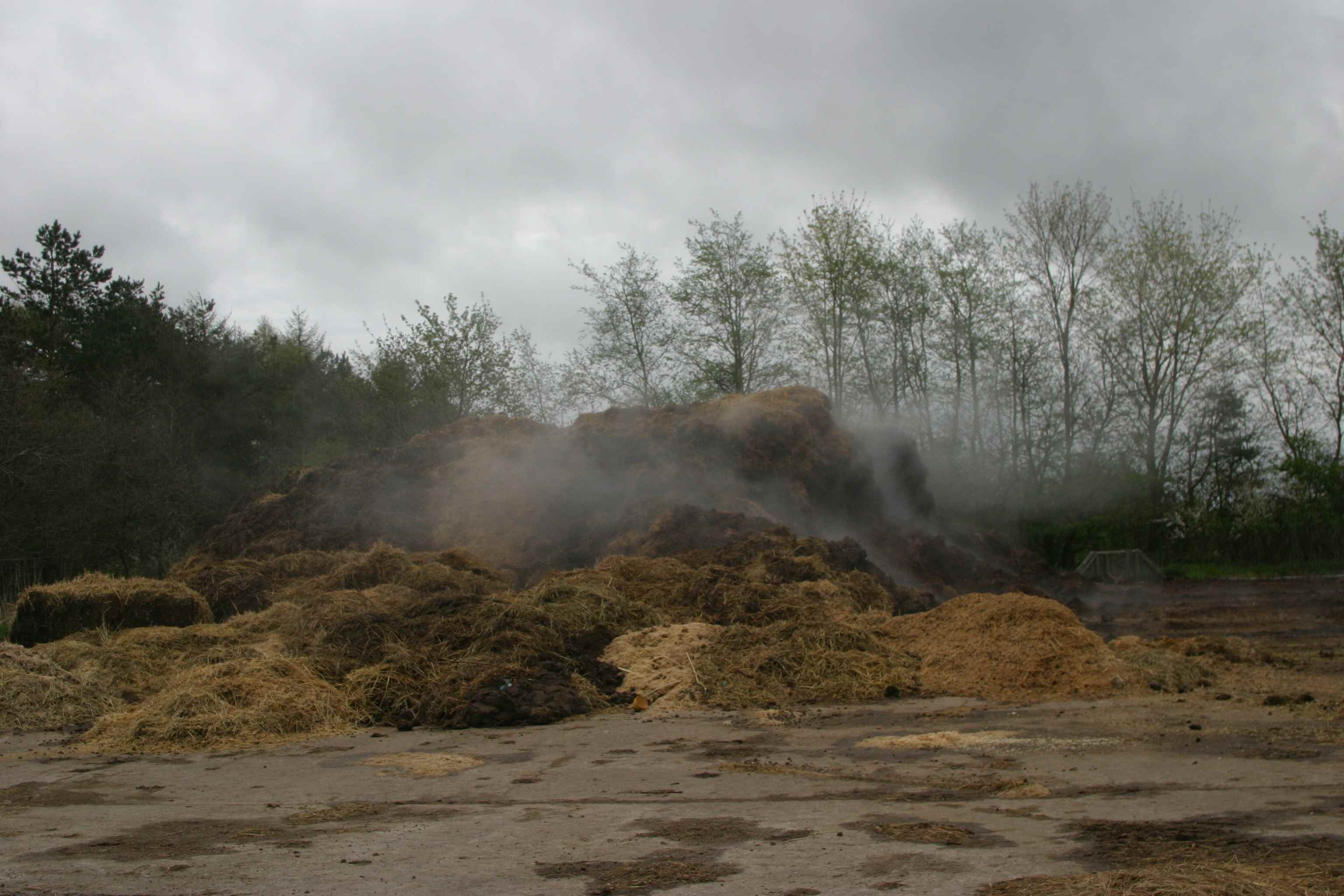 Der bliver produceret masser af lort i en zoologisk have som GIVSKUD ZOO.