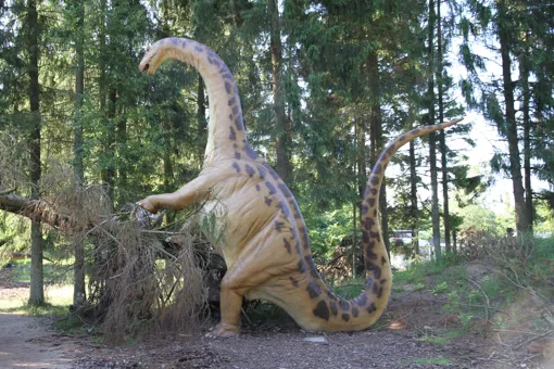 Siehe Apatosaurus und viele andere Dinosaurier im GIVSKUD ZOO.