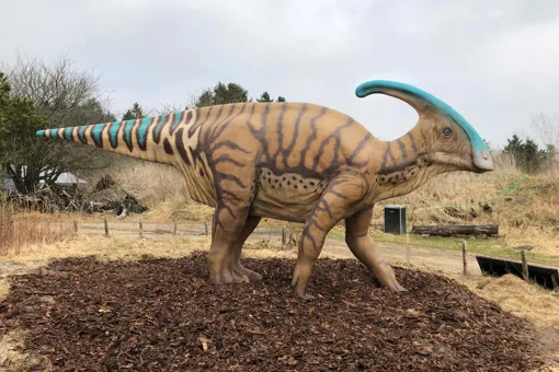 See the Parasaurolophus and many other dinosaurs at GIVSKUD ZOO.