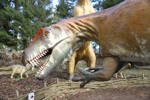 Siehe Torvosaurus und viele andere Dinosaurier im GIVSKUD ZOO.