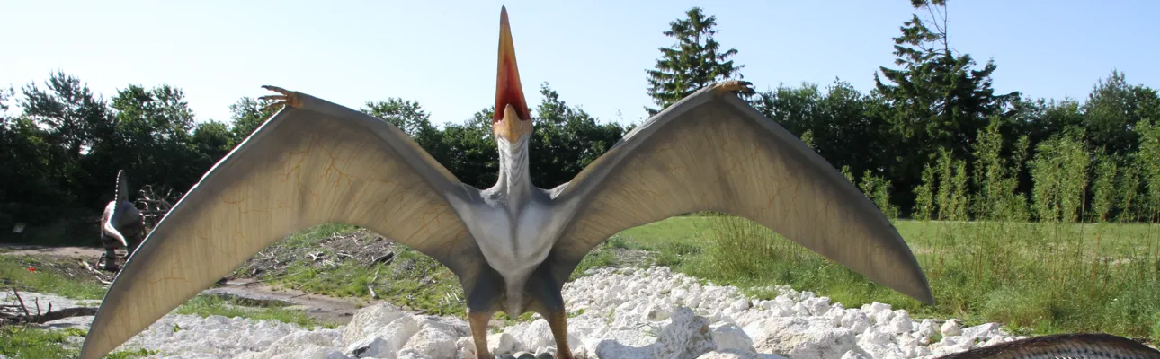Pteranodon GIVSKUD ZOO