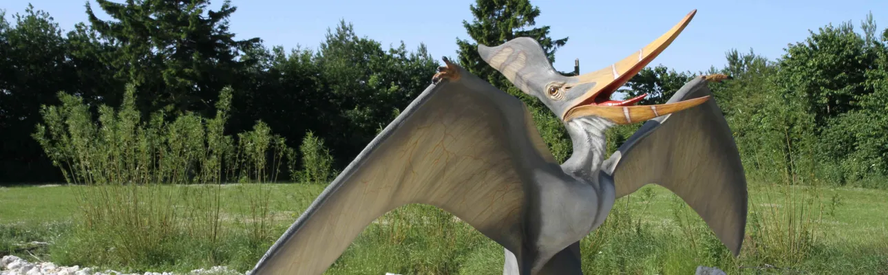 See the Pteranodon and many other dinosaurs at GIVSKUD ZOO.