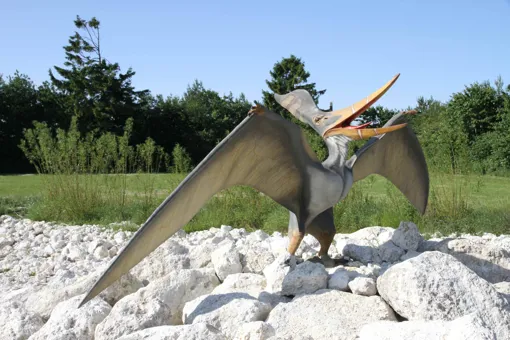 Pteranodon i GIVSKUD ZOO.