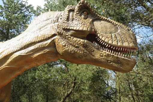 Dinosaurudstillingen i GIVSKUD ZOO - ZOOTOPIA bliver ændret en smule med nye modeller i 2021.